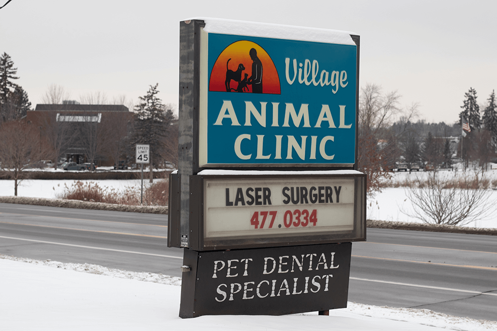 Village Animal Clinic Tour 14