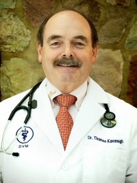 Dr. Tom Kavanagh